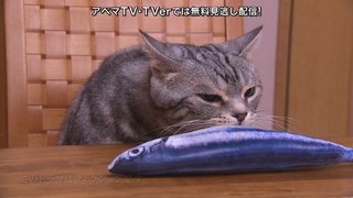 テレ朝【警視庁・捜査一課長 2020】木曜・20時