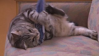 テレ朝【警視庁・捜査一課長 2020】木曜・20時