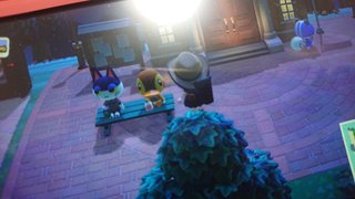 どうぶつの森 Switch 