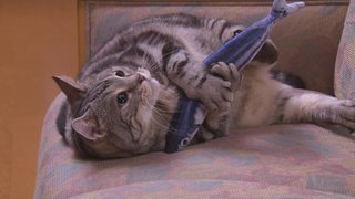 テレ朝【警視庁・捜査一課長 2020】木曜・20時