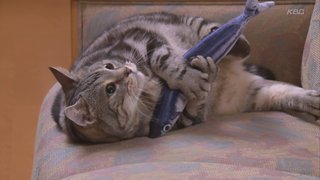 テレ朝【警視庁・捜査一課長 2020】木曜・20時