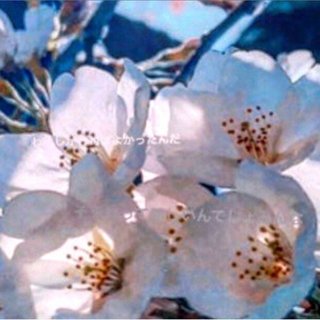 足立梨花、ヤバイやつだった