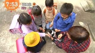 【おはよう】めざましテレビ【総合】