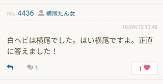 ミ☆馴れ合いのなんでも語れるトピ☆ミ
