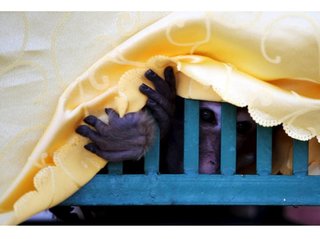 ウイルス流出は野生動物に対する人類の行動の必然的結果