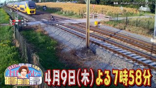 テレ東【IKKOまぼろし～ 衝撃映像祭り】4/9 19:00～