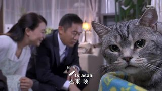 テレ朝【警視庁・捜査一課長 2020】木曜・20時