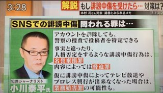 ネット上の誹謗中傷 与野党で協議へ、木村花さん死去受け問題に