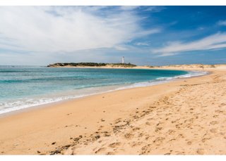 スペインで感染予防のため「ビーチに漂白剤」壊滅的打撃に