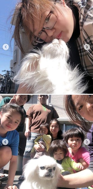 美奈子　愛犬の死を報告　家族ショットで追悼