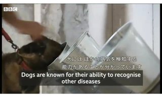 フランス・においで新型ウイルス感染者を特定？消防隊が検知犬を訓練