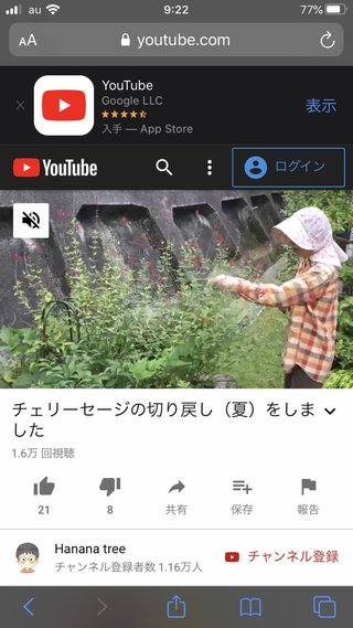 &#x{11:F9E6};&#x{11:F9E6};ガーデニング好きな方【情報交換】&#x{11:F9E6};&#x{11:F9E6};