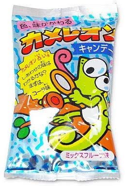 みんなの旦那に「カメレオン買って」と言ったらどんなの買ってくる？