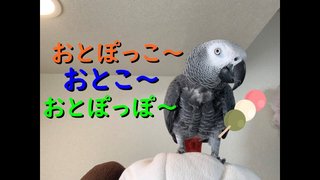 面白い動画貼って！