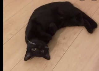 娘が家出しまい、どうしたらいいのやら...