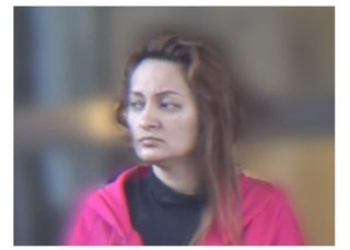 車を“踏切内に故意に停めて”列車と衝突させた36歳女…当時“覚醒剤”を使用していた疑いで逮捕