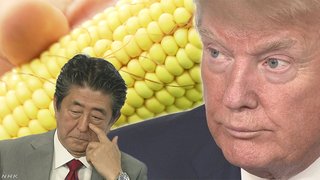 【拡散希望】パンから発がん性除草剤検出！アメリカ圧力で日本は農薬まみれ
