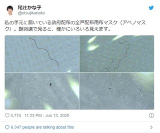 尾辻かな子「届いたアベノマスク、顕微鏡で見たらゴミが付いてた！」【立憲民主党】