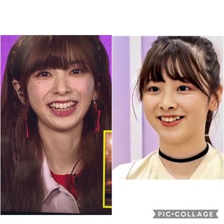 虹プロジェクト