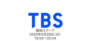 TBS【動物スクープ】6/28 18:00～