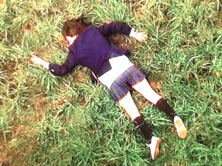 日テレ【野ブタ。をプロデュース 特別編】4/11,18 22:00～