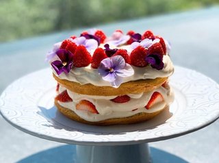 長谷川理恵　結婚８周年・夫の誕生日を手作りケーキで祝福