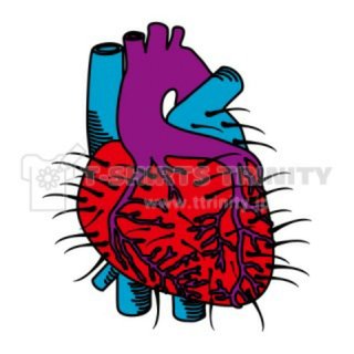 児童手当て第3子に月六万円 少子化対策のアイデアが政府内で急浮上している