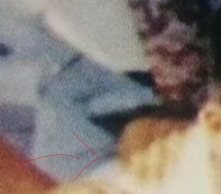 心霊番組好きな人だけ来てー