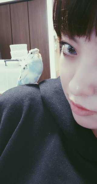 鳥好きさん、いませんか？