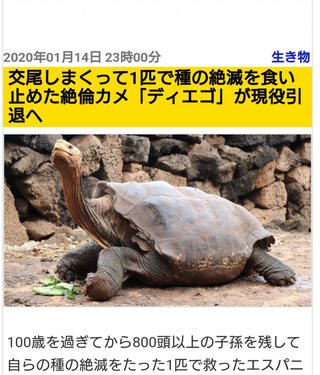 交尾しまくって種の絶滅の危機を救った絶倫ガメ、引退　１００歳を過ぎてから８００頭以上の子孫を残す