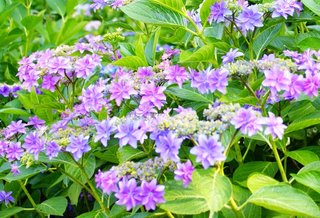 &#x{11:F8E2};なんでもいｰから&#x{11:F8E2};