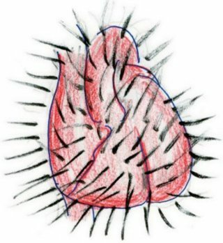 ママスタを引退して、ヘアドネしようかと考えています。