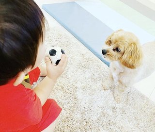 杉浦太陽　学校再開の子どもたちの様子を報告