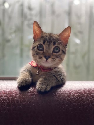 可愛い♪