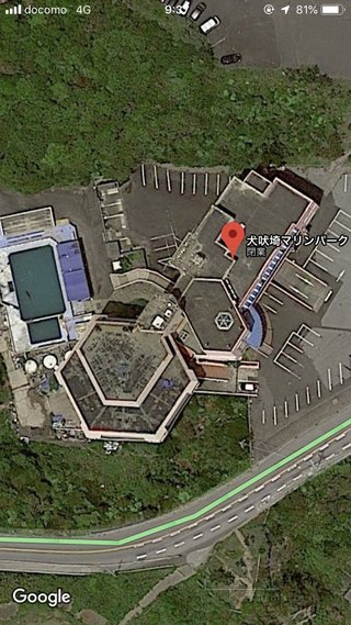 千葉の閉館した水族館にたった1頭置き去りにされた、イルカの「ハニー」死ぬ…