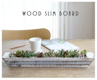 &#x{11:F9E6};&#x{11:F9E6};ガーデニング好きな方【情報交換】&#x{11:F9E6};&#x{11:F9E6};