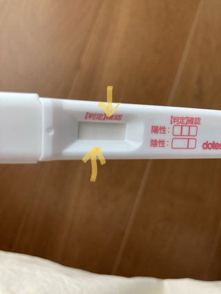 妊娠検査薬!閲覧注意