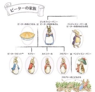 韓国の食用犬農場から100頭以上を救出「犬肉スープ祭」前に