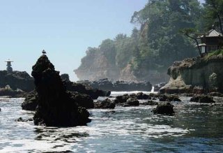 【茨城県】五浦に巨大油田・ガス田の痕跡　岩塊から成分検出　1650万年前に存在か