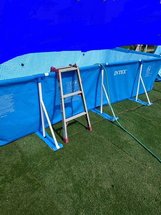 今年のプールは