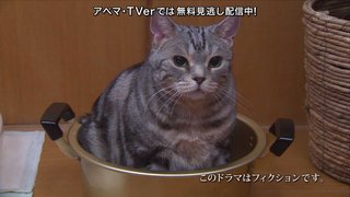 テレ朝【警視庁・捜査一課長 2020】木曜・20時