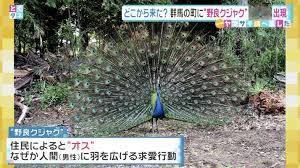 群馬県【総合】