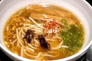 コオロギラーメン好き？