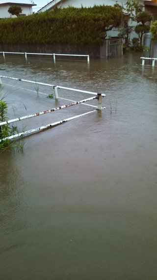 鹿児島 【総合】