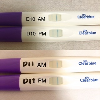 排卵日予測検査薬