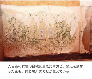 浸水住宅に大量のカビ…健康被害も　防ぐ手立ては　熊本豪雨