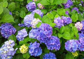 &#x{11:F8E2};なんでもいｰから&#x{11:F8E2};