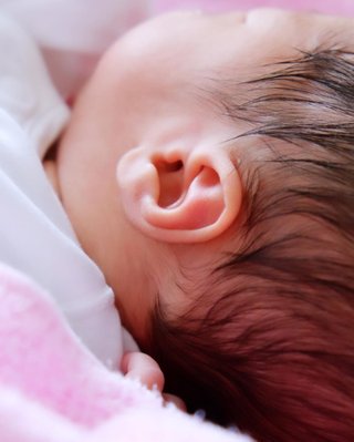 モデル・武智志穂　双子男児出産を報告