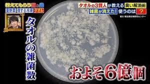不倫ってさ、実はみんな憧れがあるよね