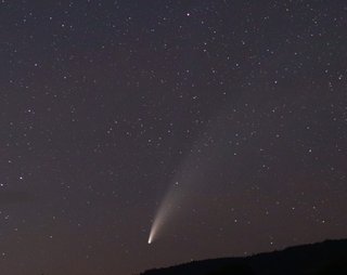 ネオワイズ彗星綺麗だね！
